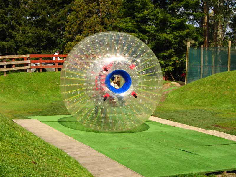 Zorb Link