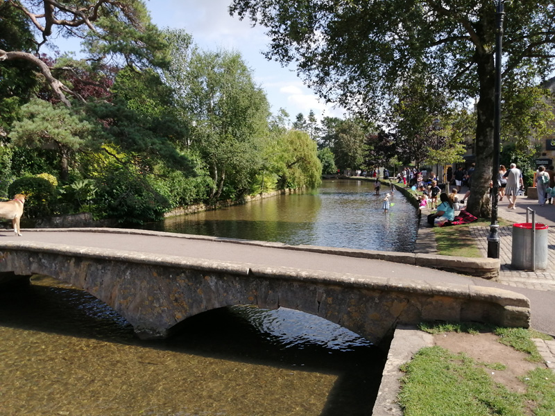 cotswold