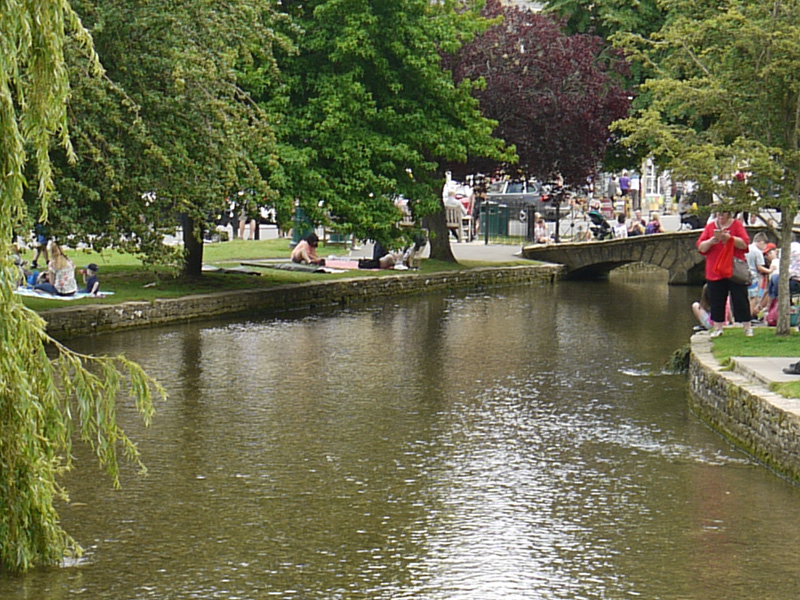 cotswold